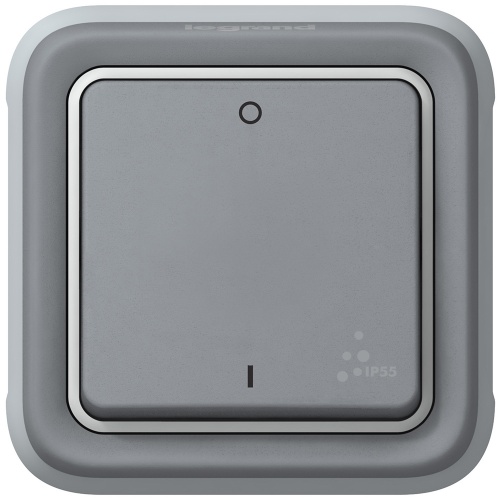Двухполюсный выключатель - Программа Plexo - серый - 10 AX | код 069530 |  Legrand